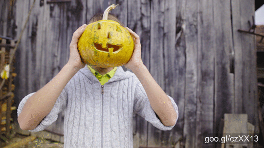 Sliding in front of boy portrait shot holding proud his cut out face in big pumpkin. Dressed in woolen sweater.