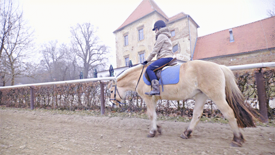 Stock footage of Equestrian Riding Horse On Horseback Inside Manege 4K