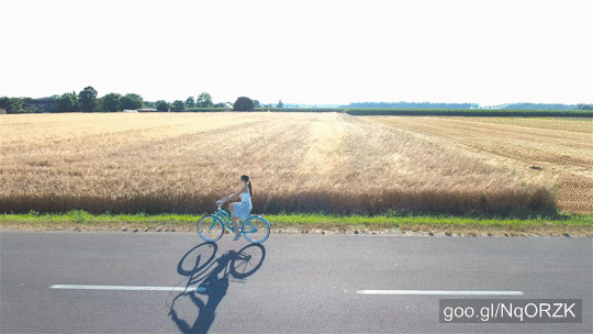 Stock Footage of Woman Bicycling In Countryside At Sunset 4K