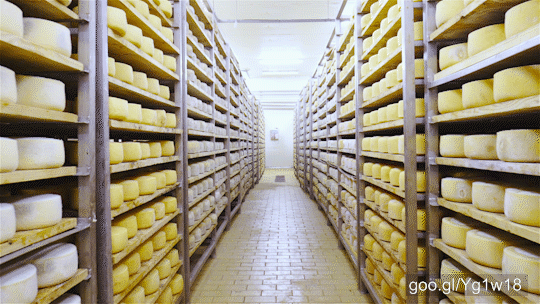 Factory Cheese Aging Storage 4K