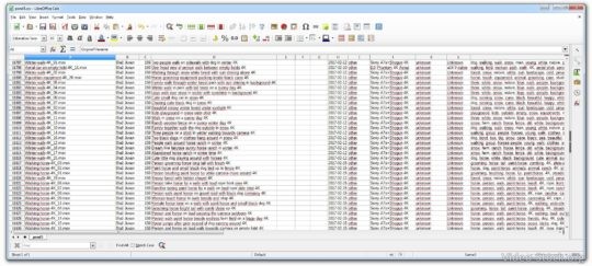 Opened Pond5 Exported CSV with Meta Data