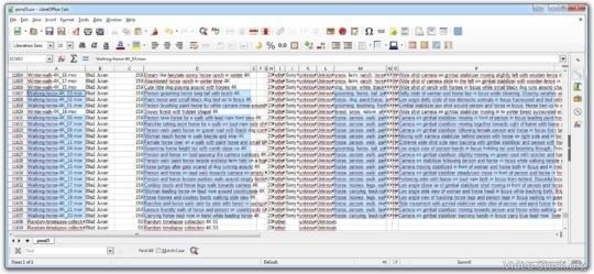 Selecting four rows with meta data from Pond5 CSV