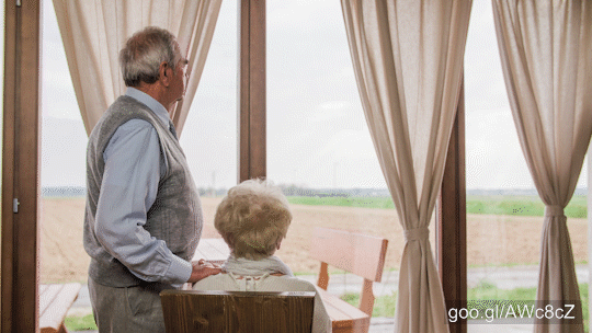  Old man and woman in front of big windows with curtains and view on landscape nature. Woman sit on chair and man stand beside with hand on her shoulder.